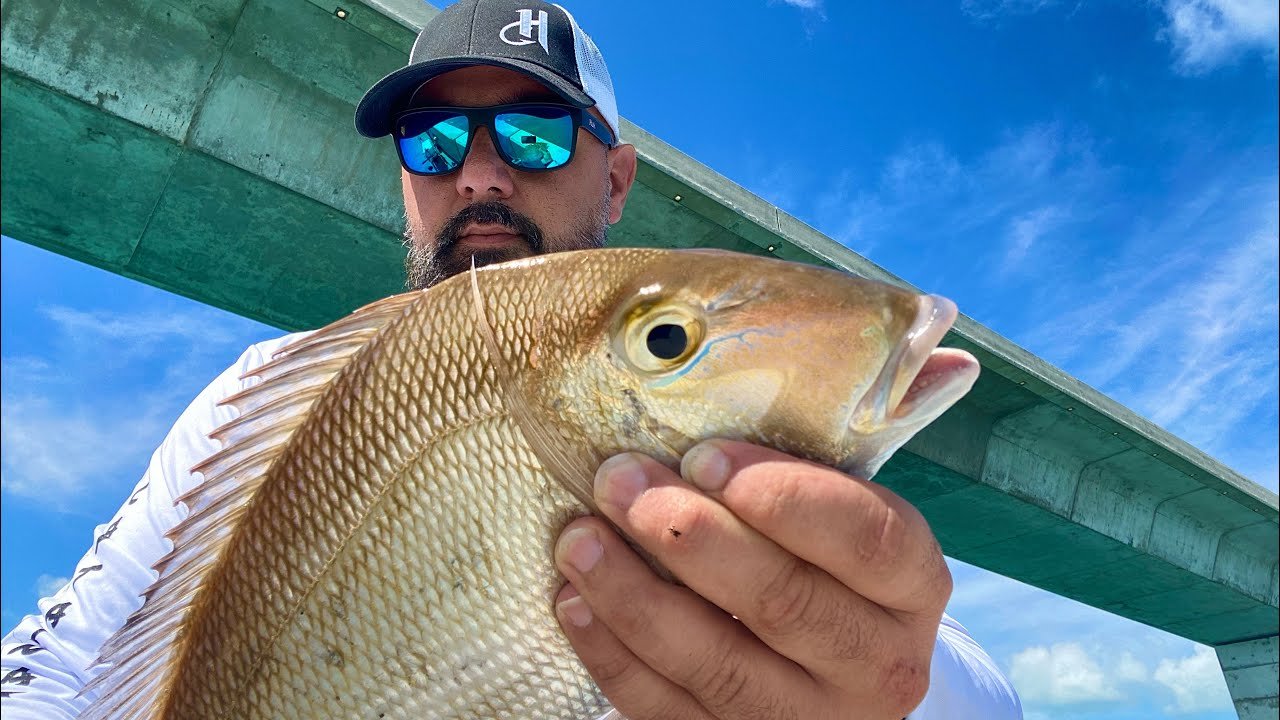 🌉 카사도 대교(카사도오하시) 이미지 9